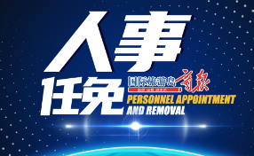 万宁市最新任免公告及步骤指南