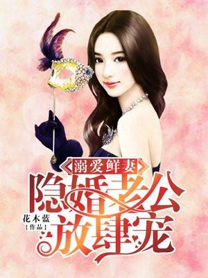 盛宠隐婚妻最新章节深度解析与探讨