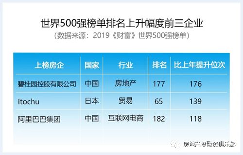 C1024最新地址2025，温馨有趣的日常故事回顾与分享